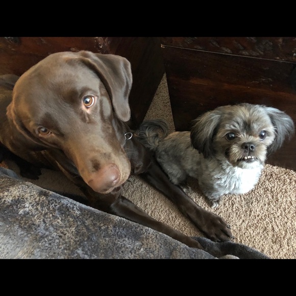 Meet your Posher, Deb - Picture 3 of 3